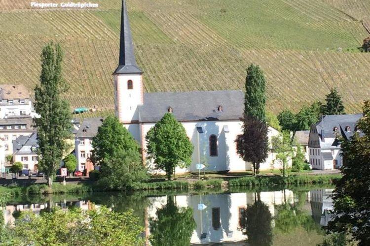 Restful Apartment In Neumagen Near River Moselle Neumagen-Dhron Exterior foto